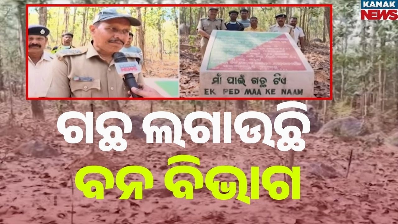 Reporter Live: 12,000 Trees Planted Over 25 Hectares in Gajapati Mohana