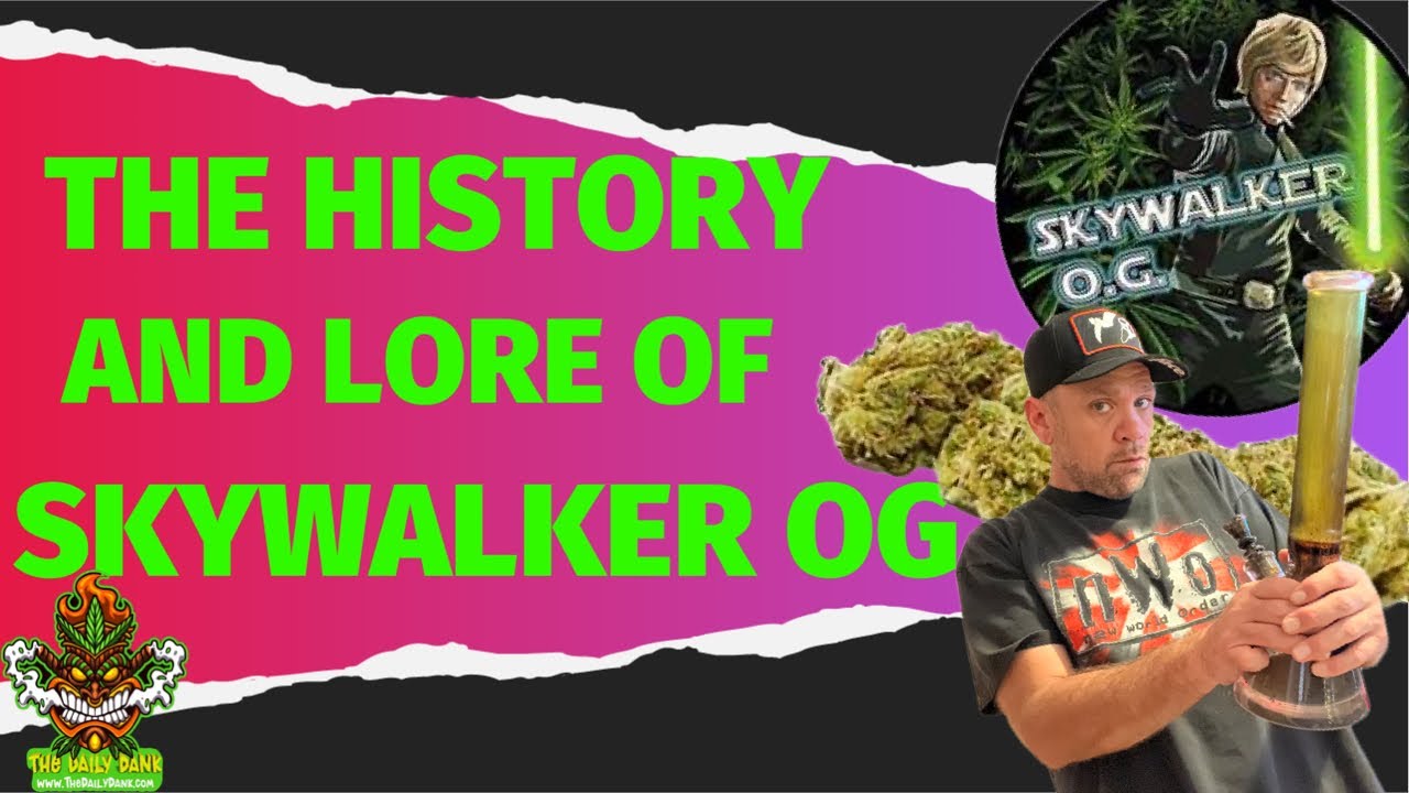 We Go to a Galaxy Far Far Away and Look @ The History of SKYWALKER OG | It&rsquo;s #420 SomeWhere Podcast
