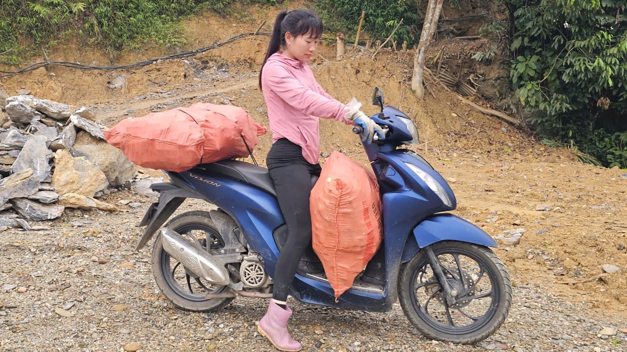 The girl used a motorbike to transport elephant grass seedlings back to the farm for planting.