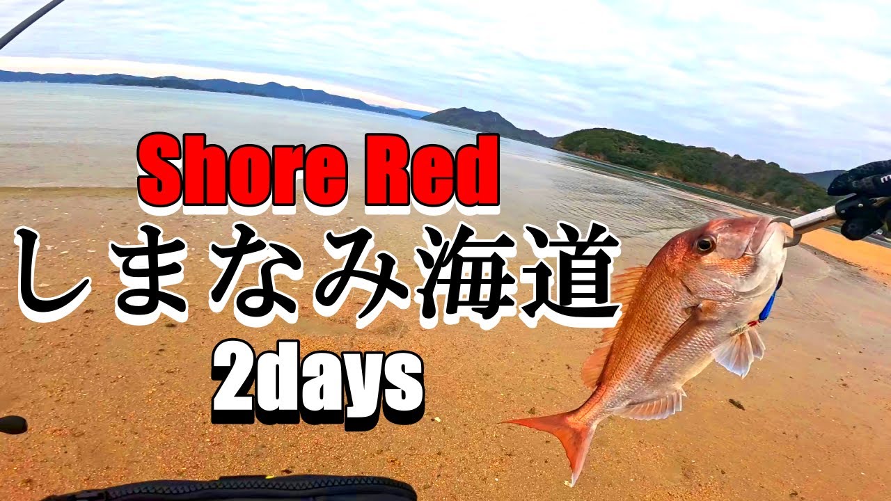 しまなみ海道 ２days ショアレッドってこんなシャローエリアで釣れんの？