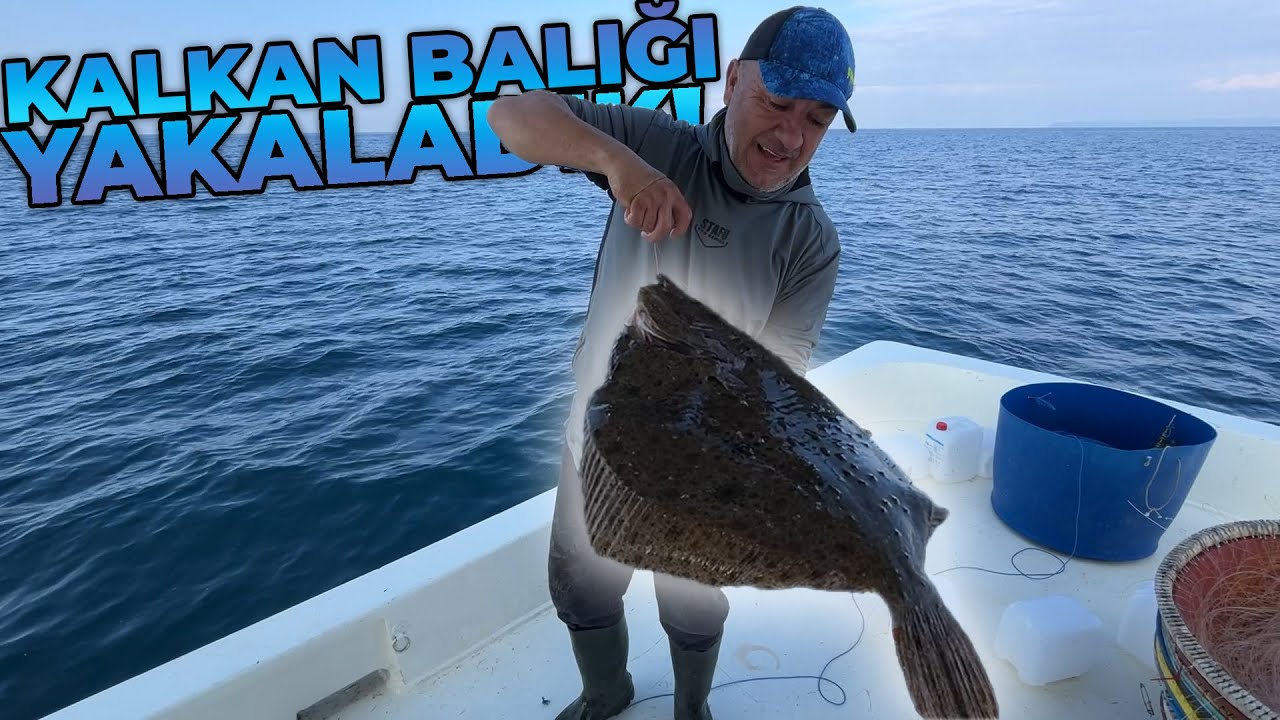 İLK DEFA KALKAN BALIĞI YAKALADIK! | GÖKÇEADA'DA BİR İLK!
