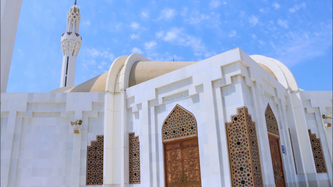 الشيخ هاني الرفاعي ماتيسر من سورة هود  ( 12 )