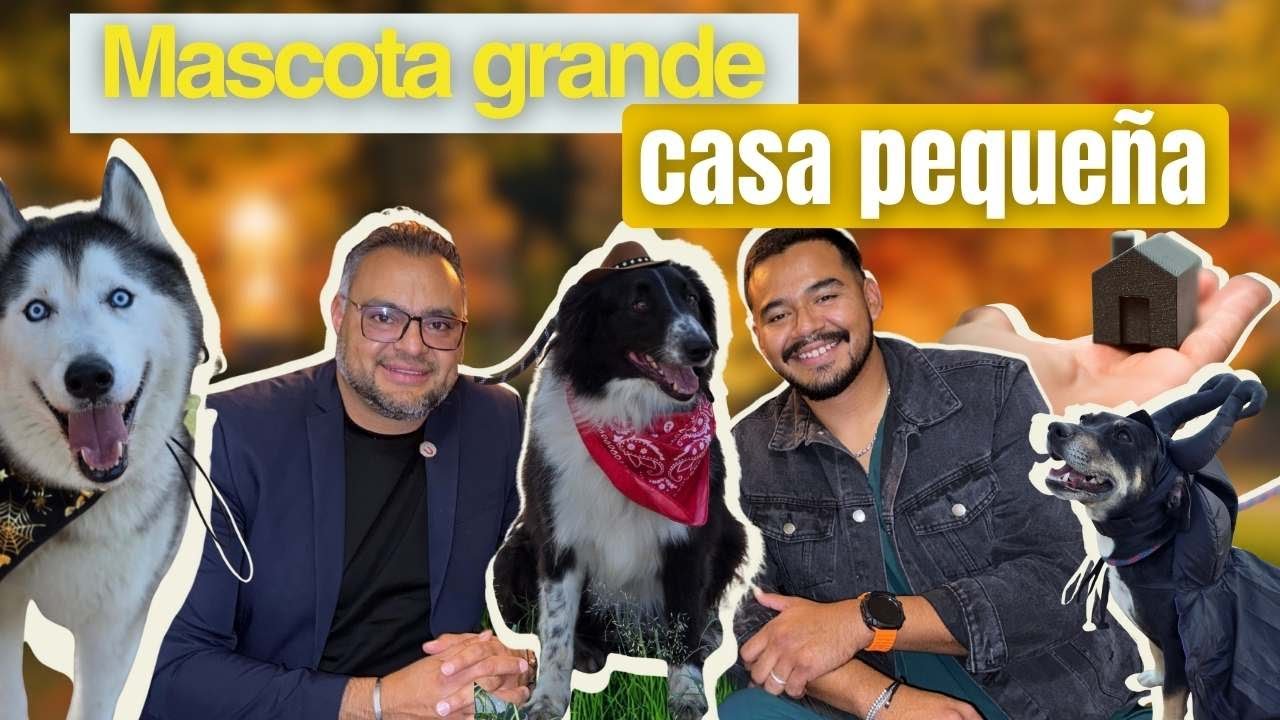 PERRO GRANDE, CASA CHICA | Mascotas: cuidados, espacios y recomendaciones |ConocimientosDePoder Ep4