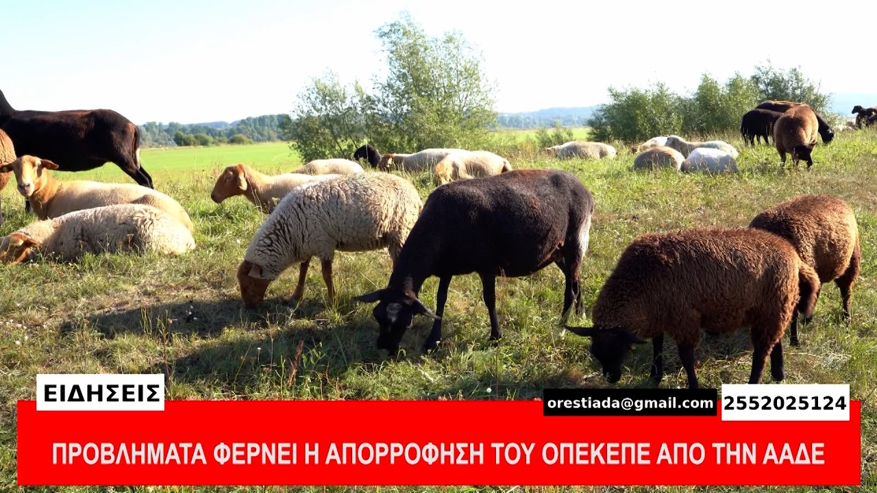 ΚΕΝΤΡΙΚΟ ΔΕΛΤΙΟ   12-2-26