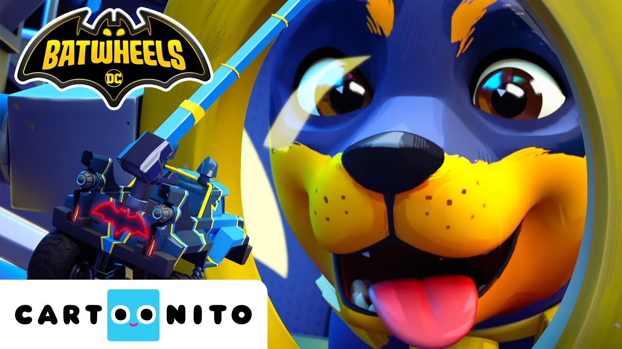 A Puppy Chases the Batwheels | Batwheels | Cartoonito