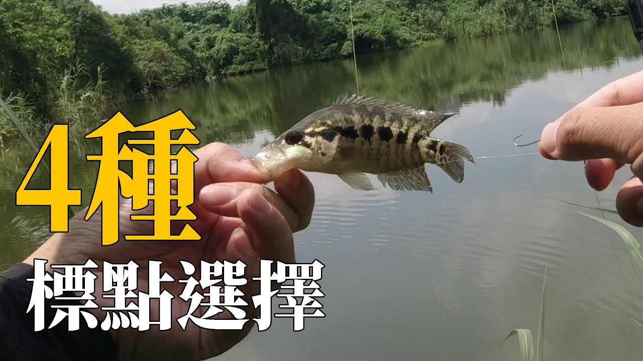 珍珠石斑釣點攻略分享!我該丟那裡?[阿宏釣魚日記]