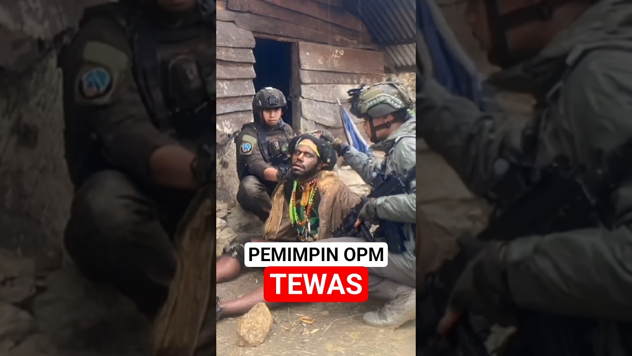 14 anggota Pimpinan OPM Undius Kogoya Tewas. #TNI #OPM #Kontaksenjata #nkrihargamati