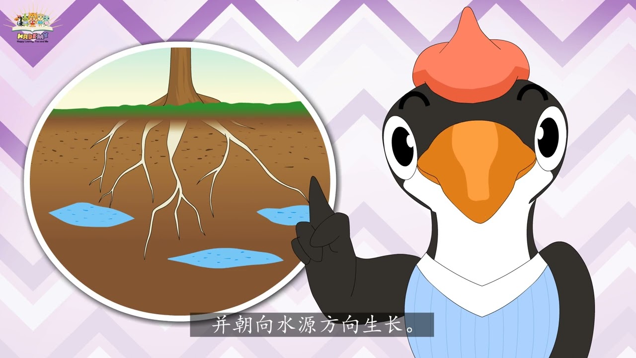 《植物》  四年级科学 单元4