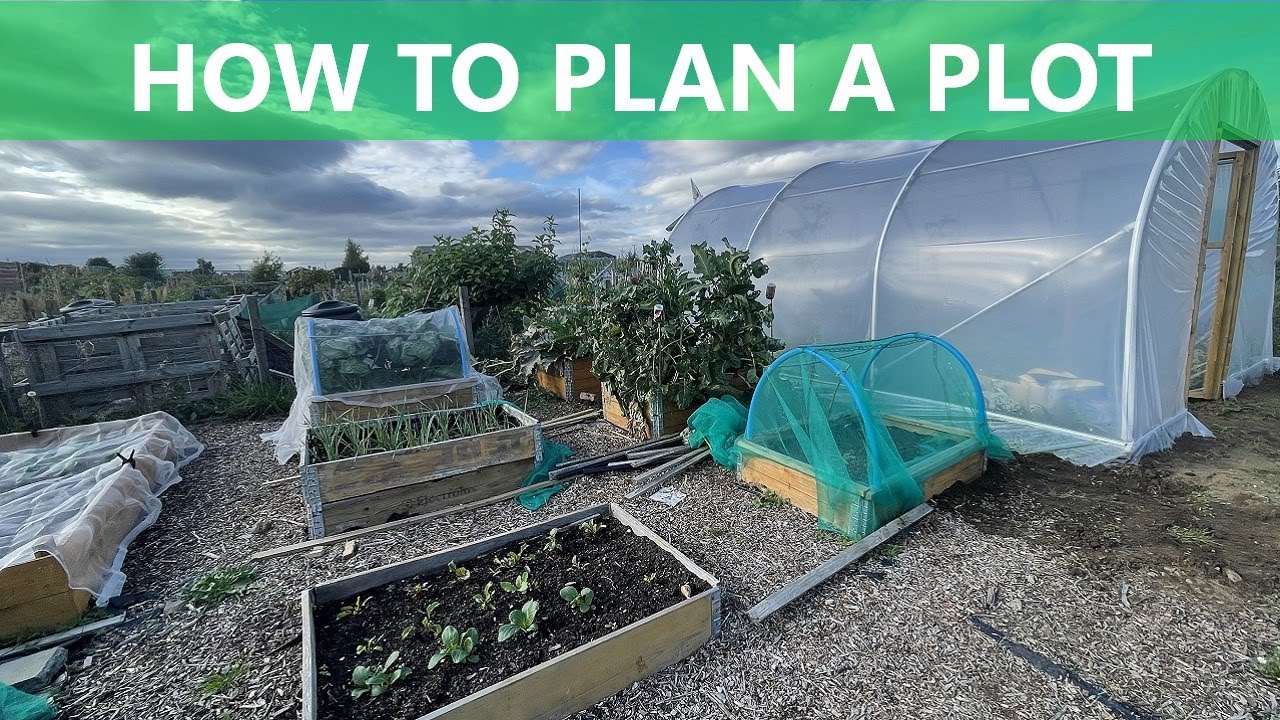 How to Plan Your Allotment Garden | Plotting and Planning | Grow Veg | Mark's Allotment Plot