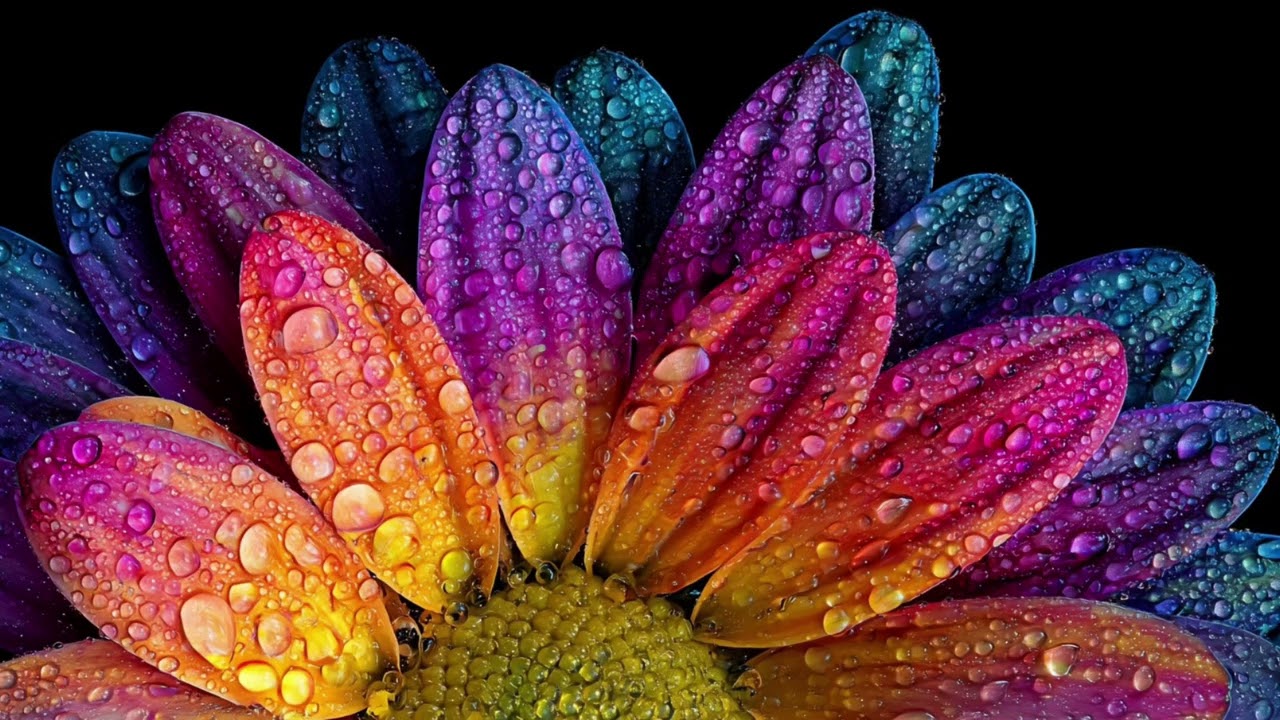 TV background and relax music 