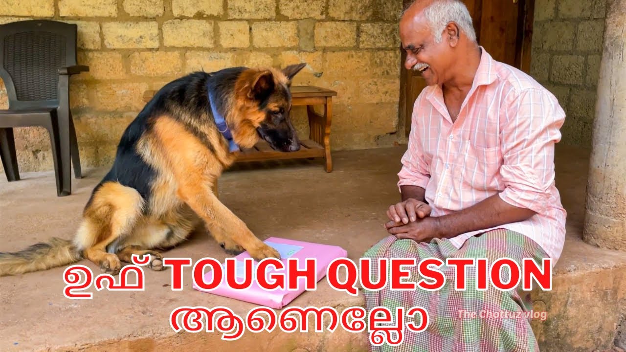 ശരിയോ തെറ്റോ 😂|Leo|Laika|chottuz