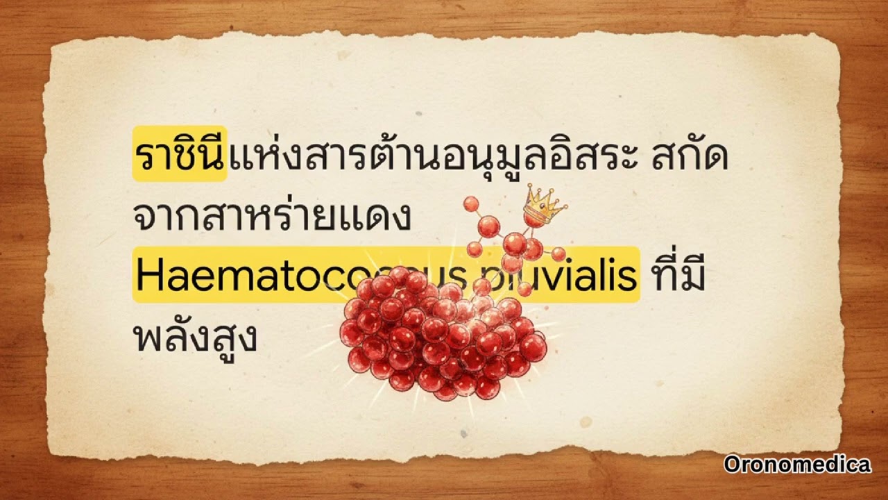 PM 2.5 vs. สารต้านอนุมูลอิสระทรงพลัง OliAsta | โอโรโนเมดิก้า สุขภาพดีสร้างได้
