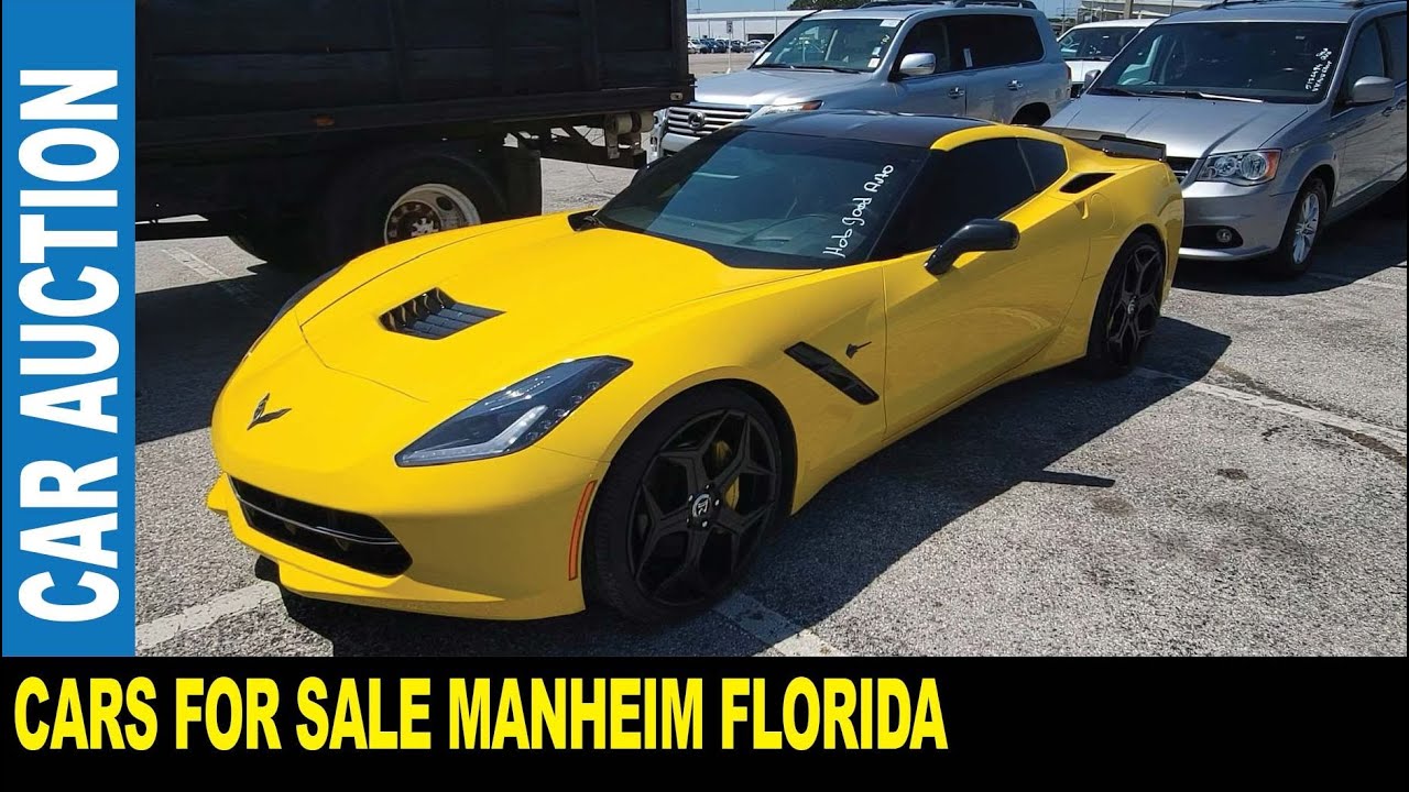 Cars for sale at Manheim auction in Saint Petersburg Florida different models to buy | Jarek in USA