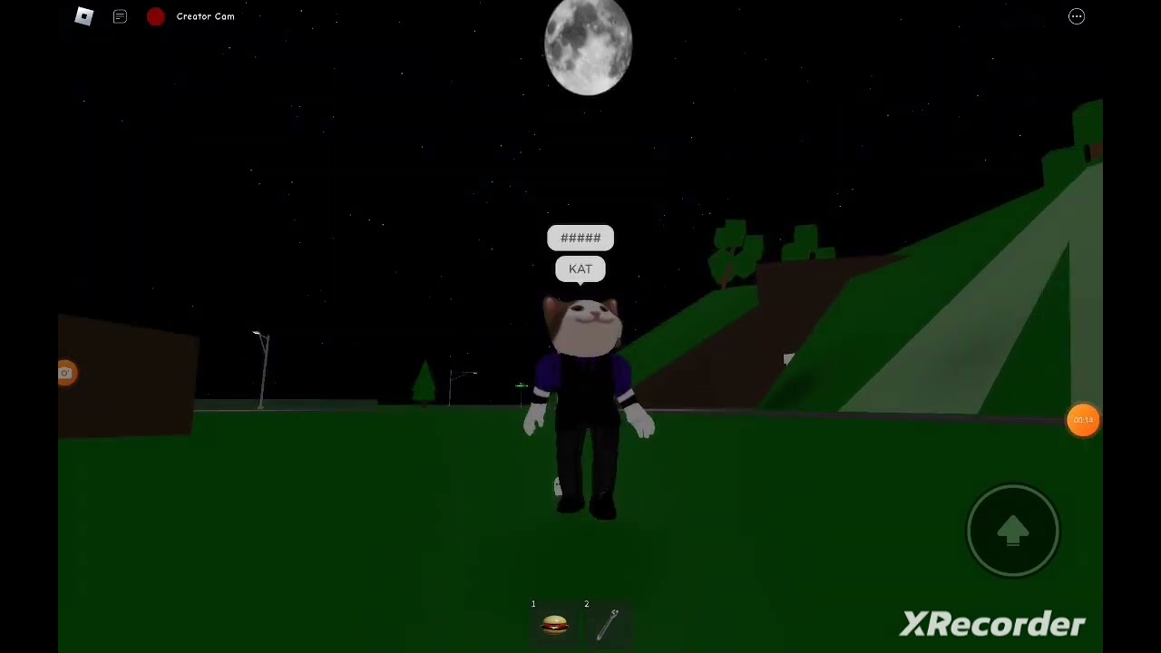waneer ik een kat zie     en waneer bram een kat ziet