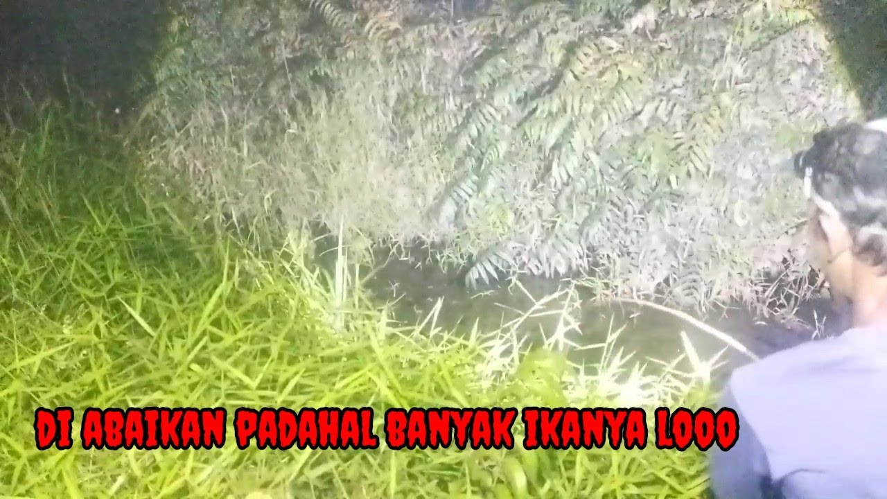 Siapa yang sangka parit begini penghuninya lembat semua