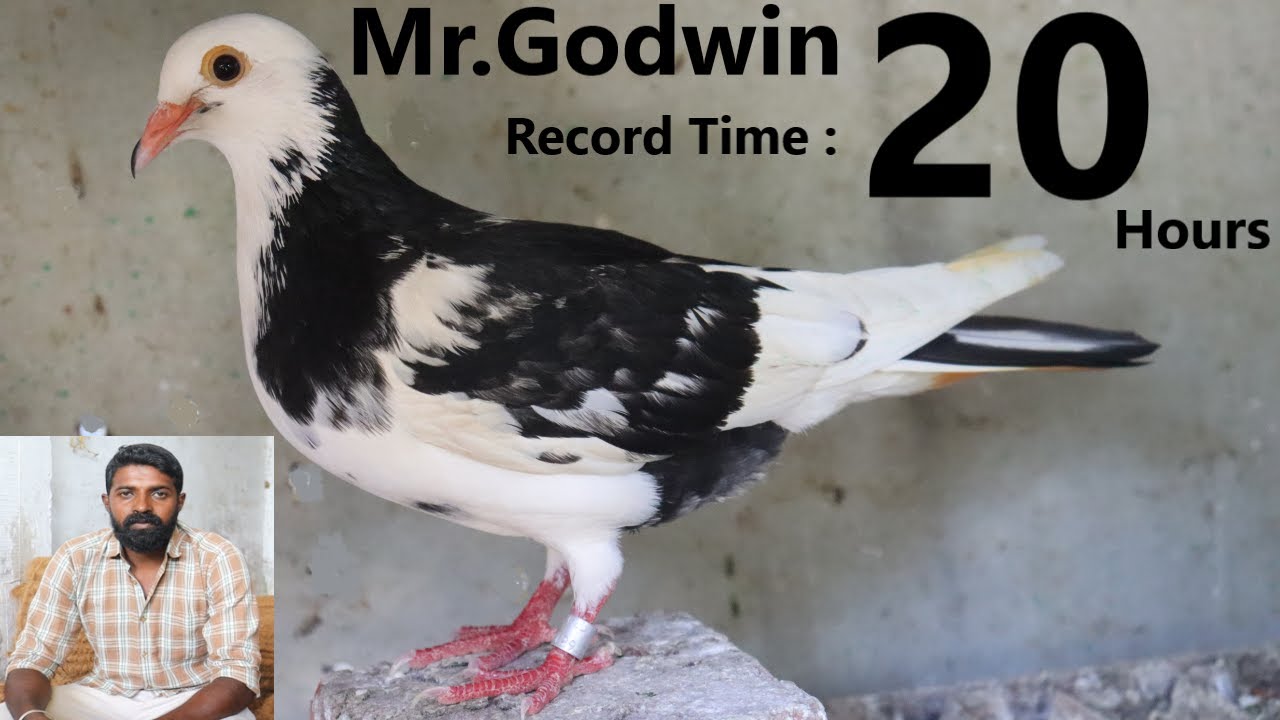 Mr.Godwin Record Time: 20 hrs