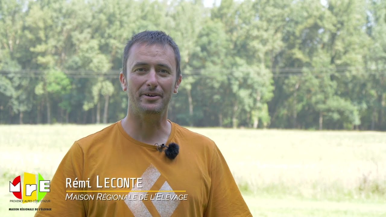 Série Techniques Ovines n°12 : Restitution prairies