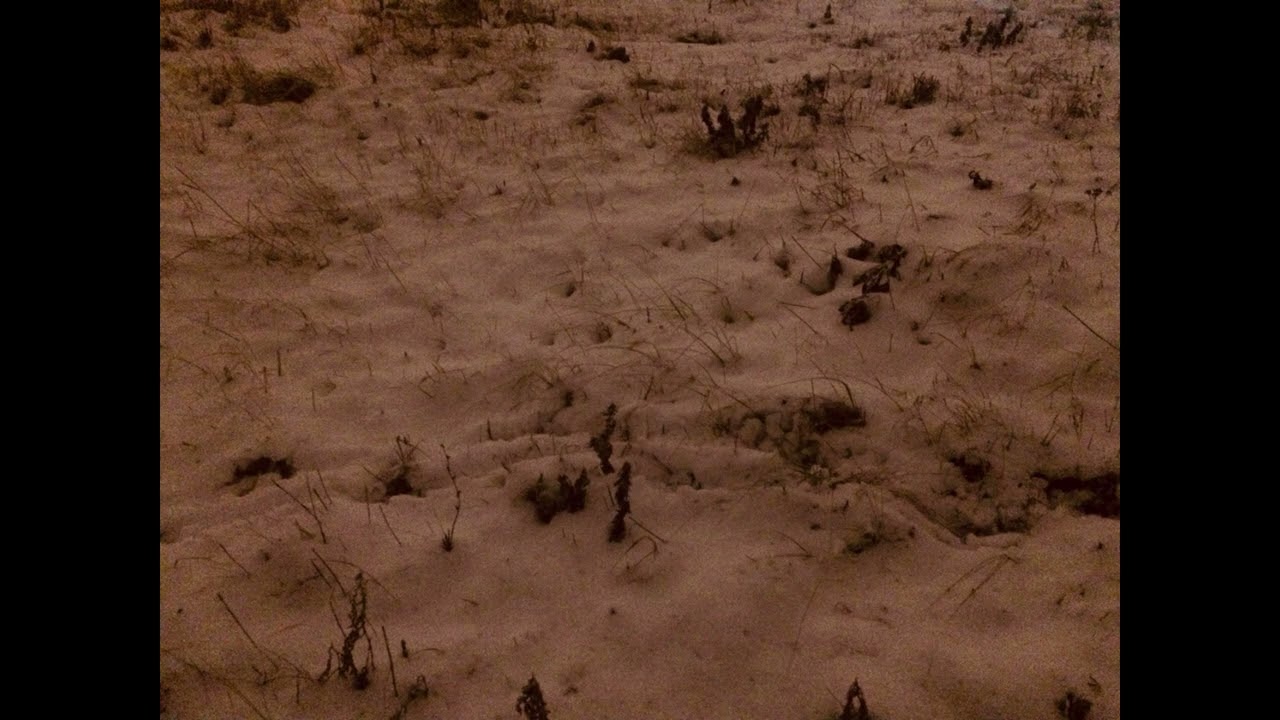 [untitled] 2