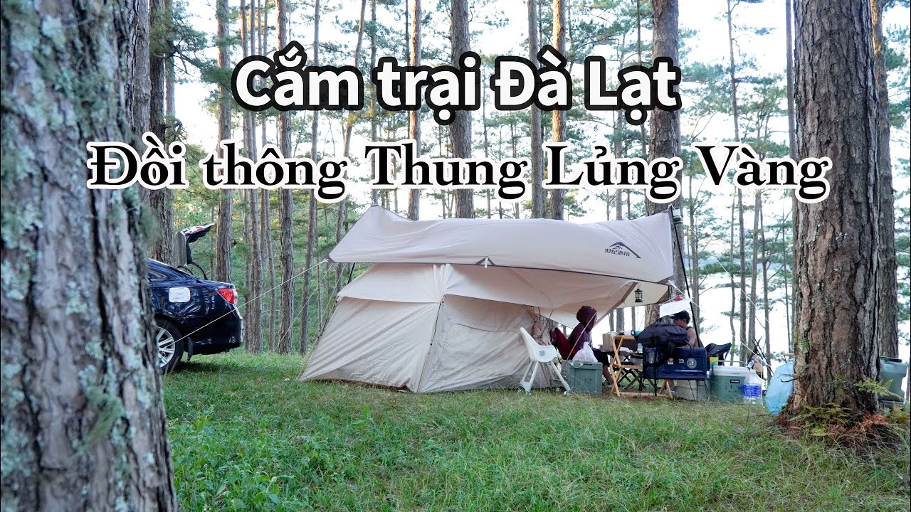 Cắm trại đồi thông Thung Lũng Vàng - Đà Lạt | bãi dịch vụ đủ tiện nghi |15 độ C |Family Camping