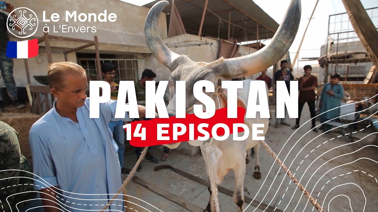 Le divertissement bizarre de Karachi et les affaires de Murat Ali