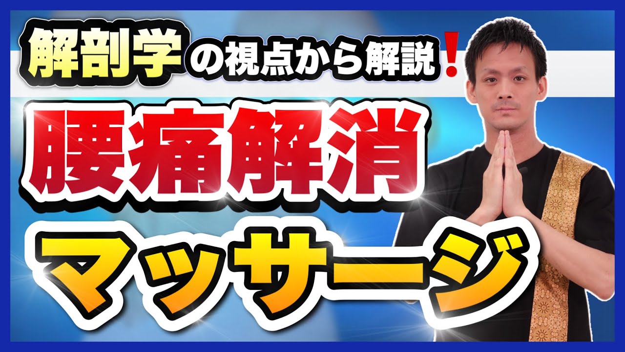 【腰痛解消】セラピストも必見「タイ古式マッサージ」の技術を解剖学の視点から解説‼️