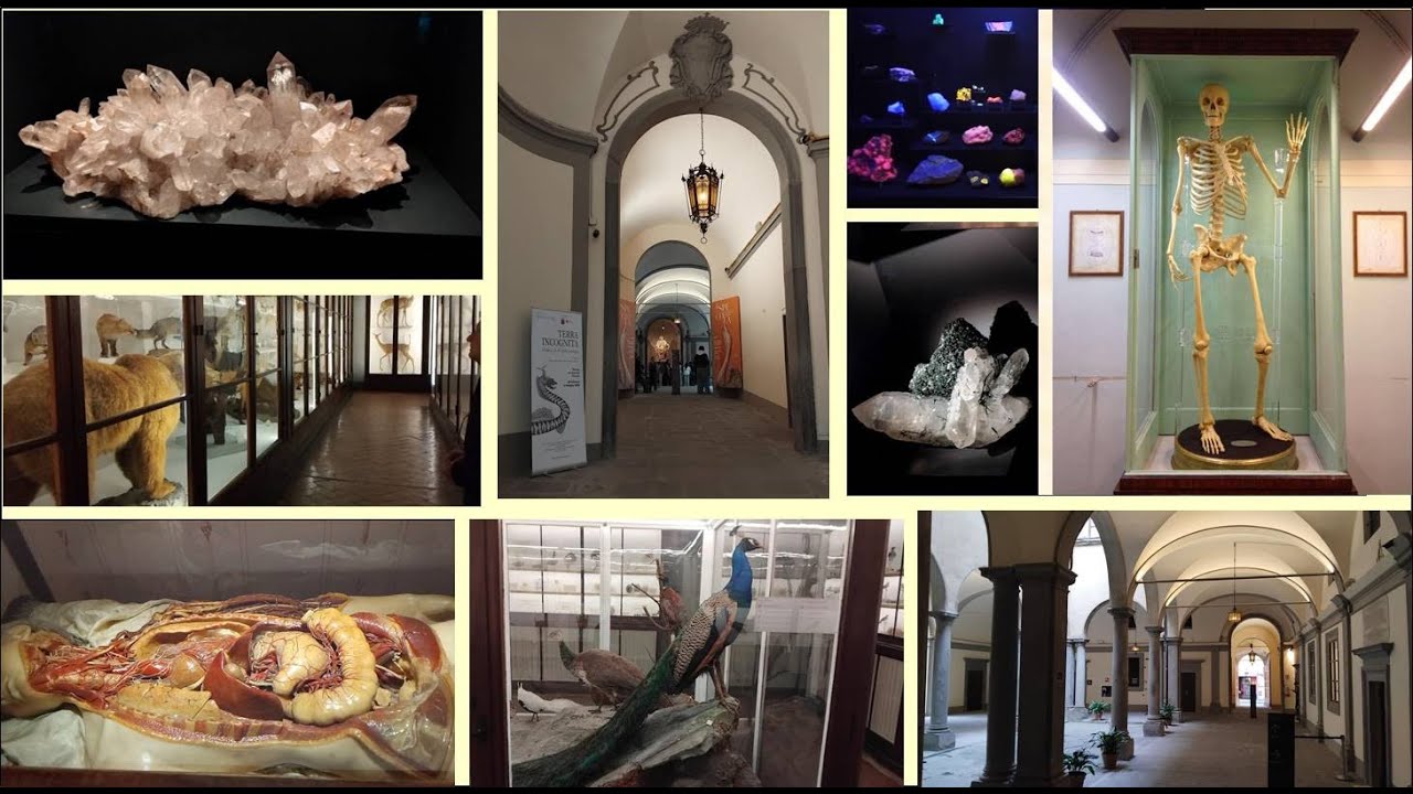 Visita al Museo della Specola