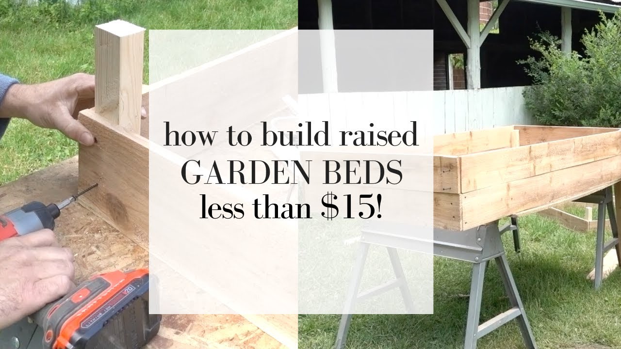 How to Build Cedar Raised Beds | Gardening for Beginners