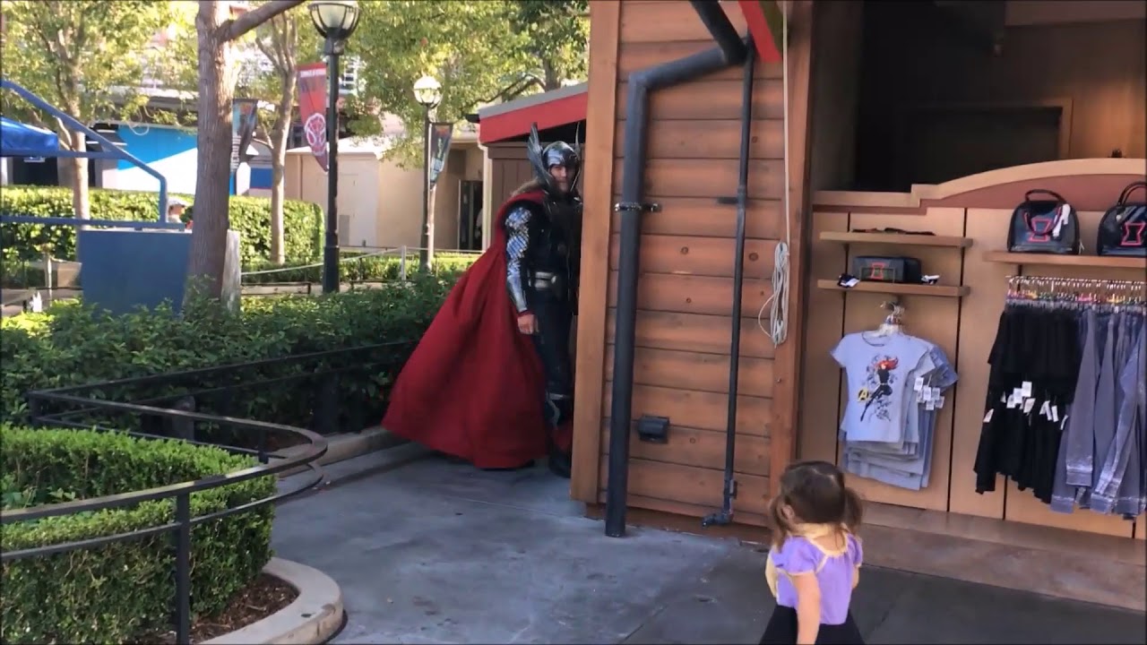 Thor Plays Hide and Seek with LittleGray and LittleSage