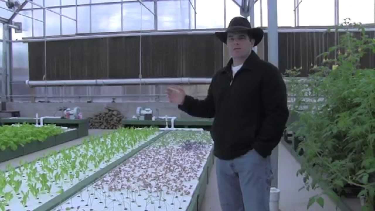 Heating & Cooling Greenhouses