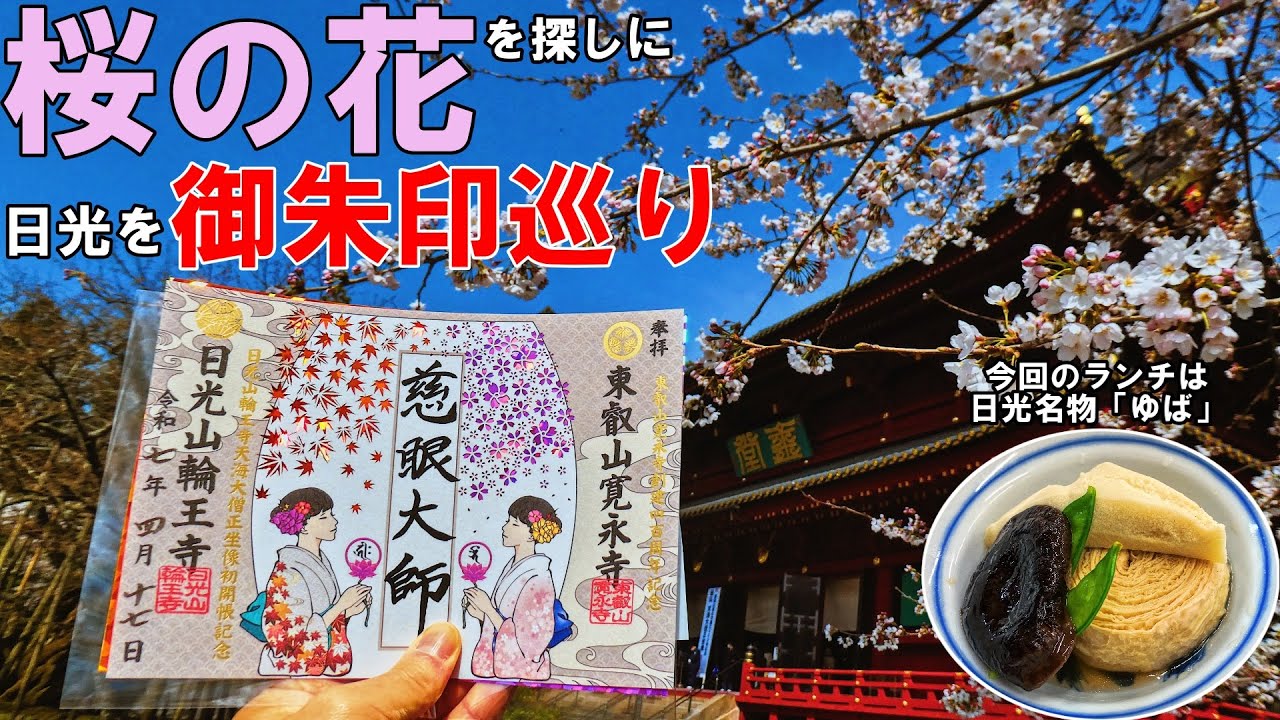 【神社仏閣ひとり旅】桜の花を追って栃木県日光を御朱印巡り[御朱印500名印(No.447～450)]