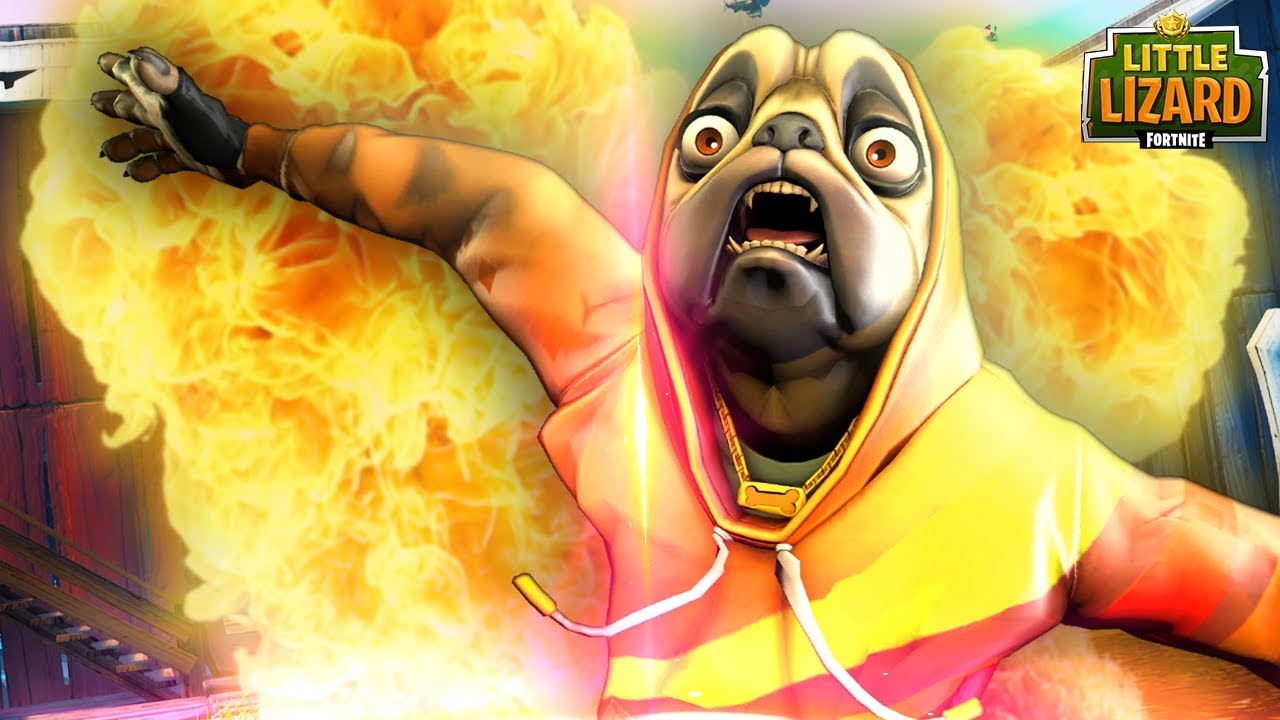 A DOGGO LIFE! - FORTNITE SEASON 9 SHORT