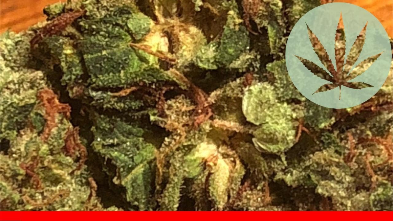Headband - All About This Strain