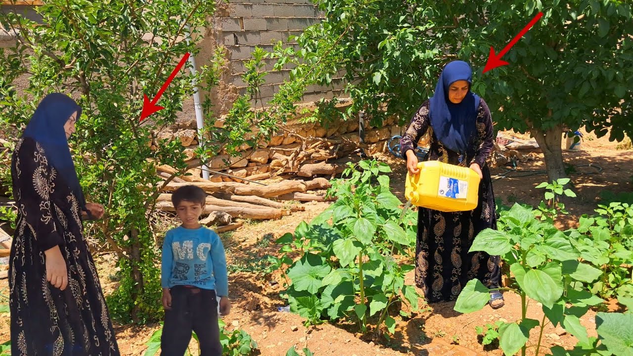 Fatemeh&rsquo;s Hopeful Journey: Watering Mehdi&rsquo;s Garden and Building a New Life 🌱❤️