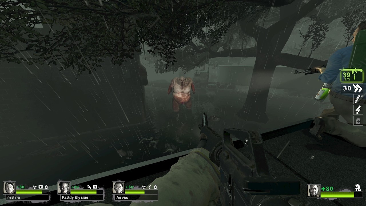 Left 4 Dead 2 Expert Gameplay M16A1 FC5 Weapon Anim Mod
