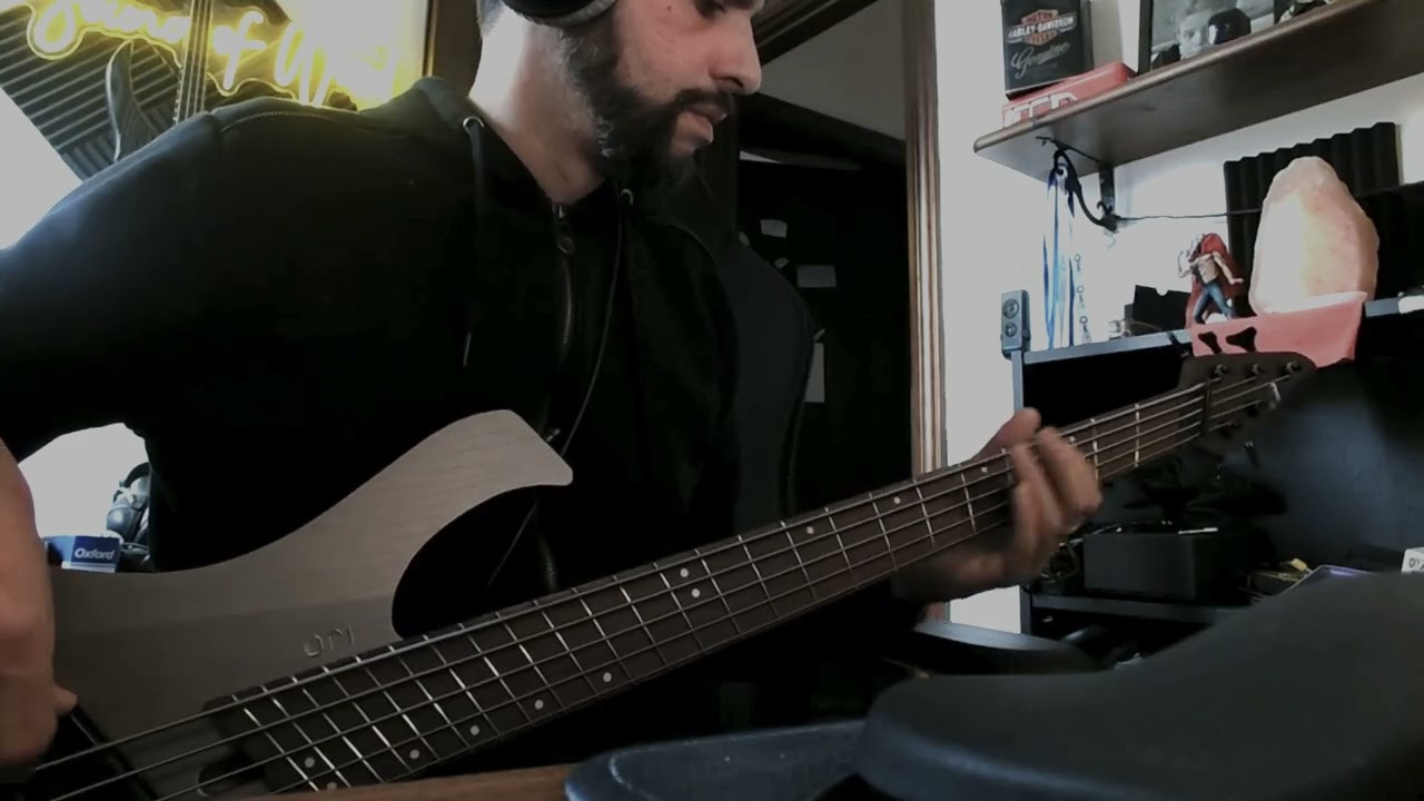 The Call of the Mountains, Eluveitie - Bass cover with Mayones Ori Enji 5