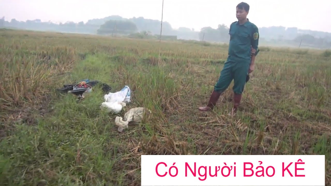 Đánh Gà Nước ẤN ĐỘ/ Anh em tham khảo đánh nhé