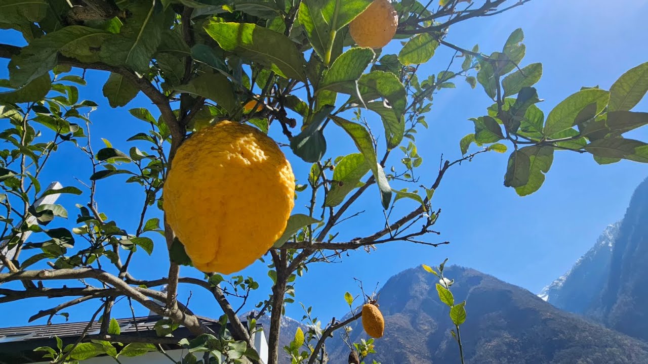 Grono Graubünden  Bündner Südtäler
