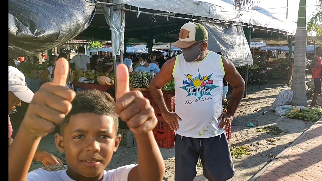 vender peixe na feira e camarão