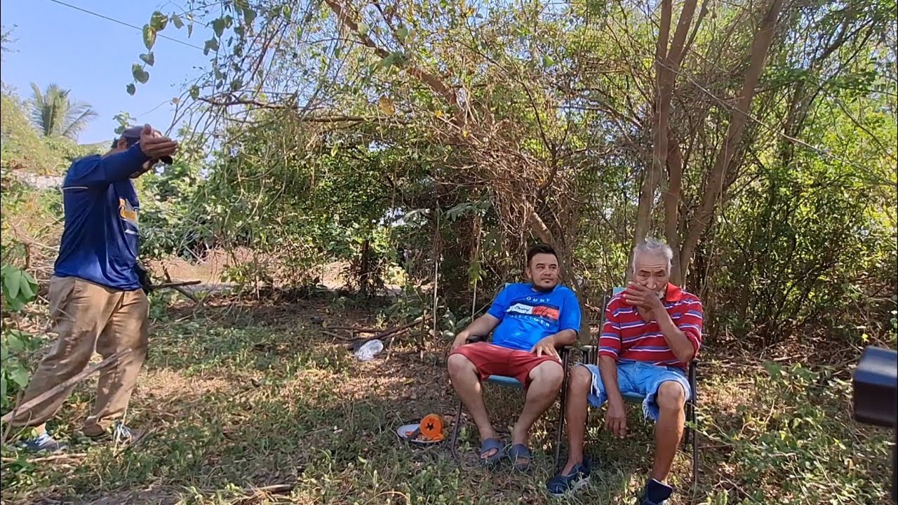 Una Colmena Atacó Al Abuelo Y Este Hombre Le Salvó La Vida 