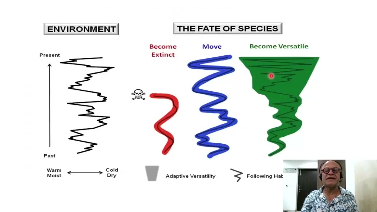 4   Climate and Evolution   Stability, Gradual Change or Variability