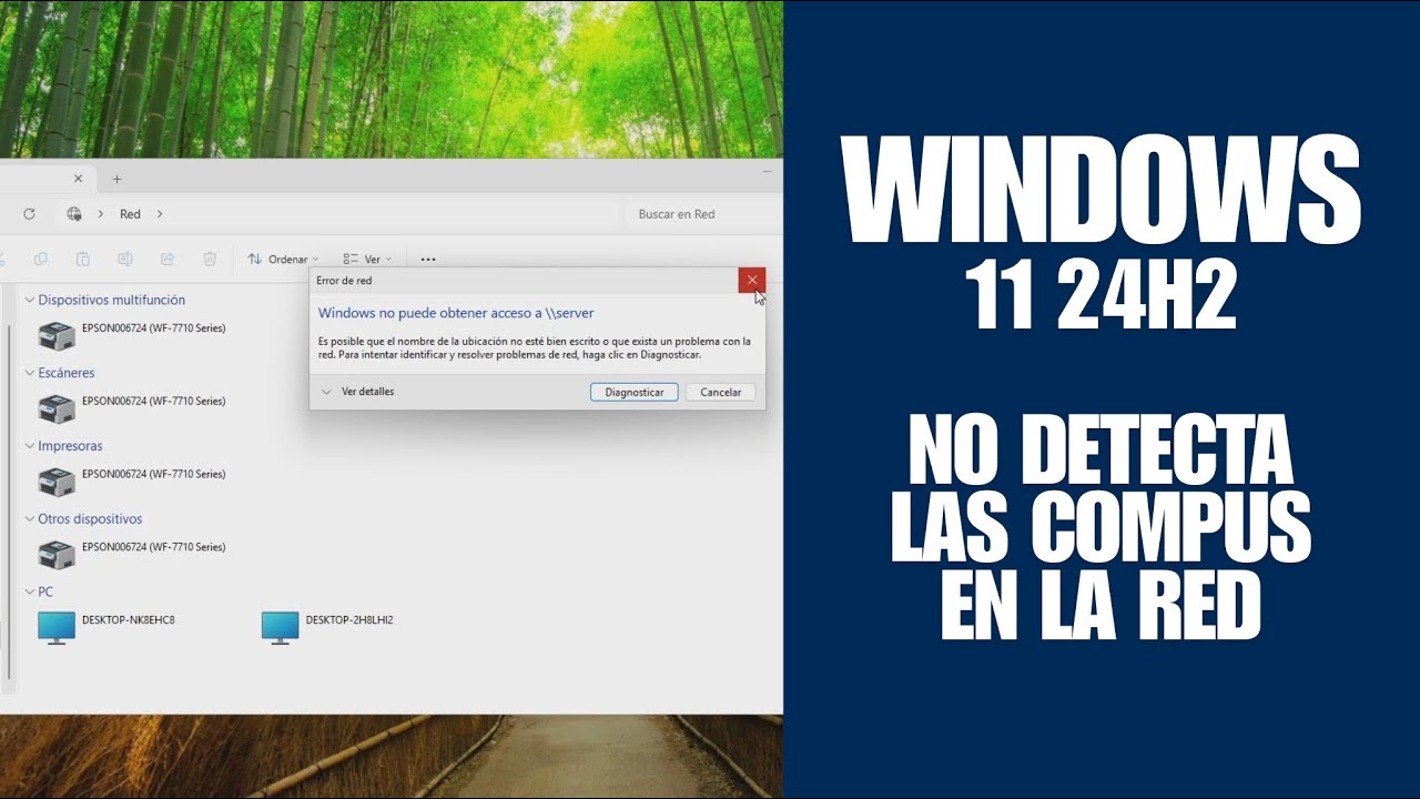 SOLUCI&Oacute;N: Windows 11 24h2 no detecta equipos en red