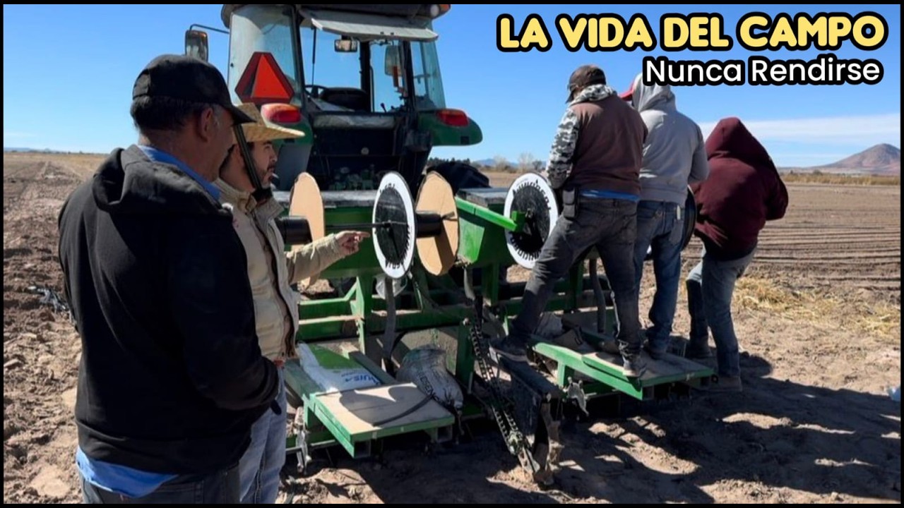 El Resultado Del Éxito En El Campo, Se Debe Al Trabajo Constante.👏🚜🧅