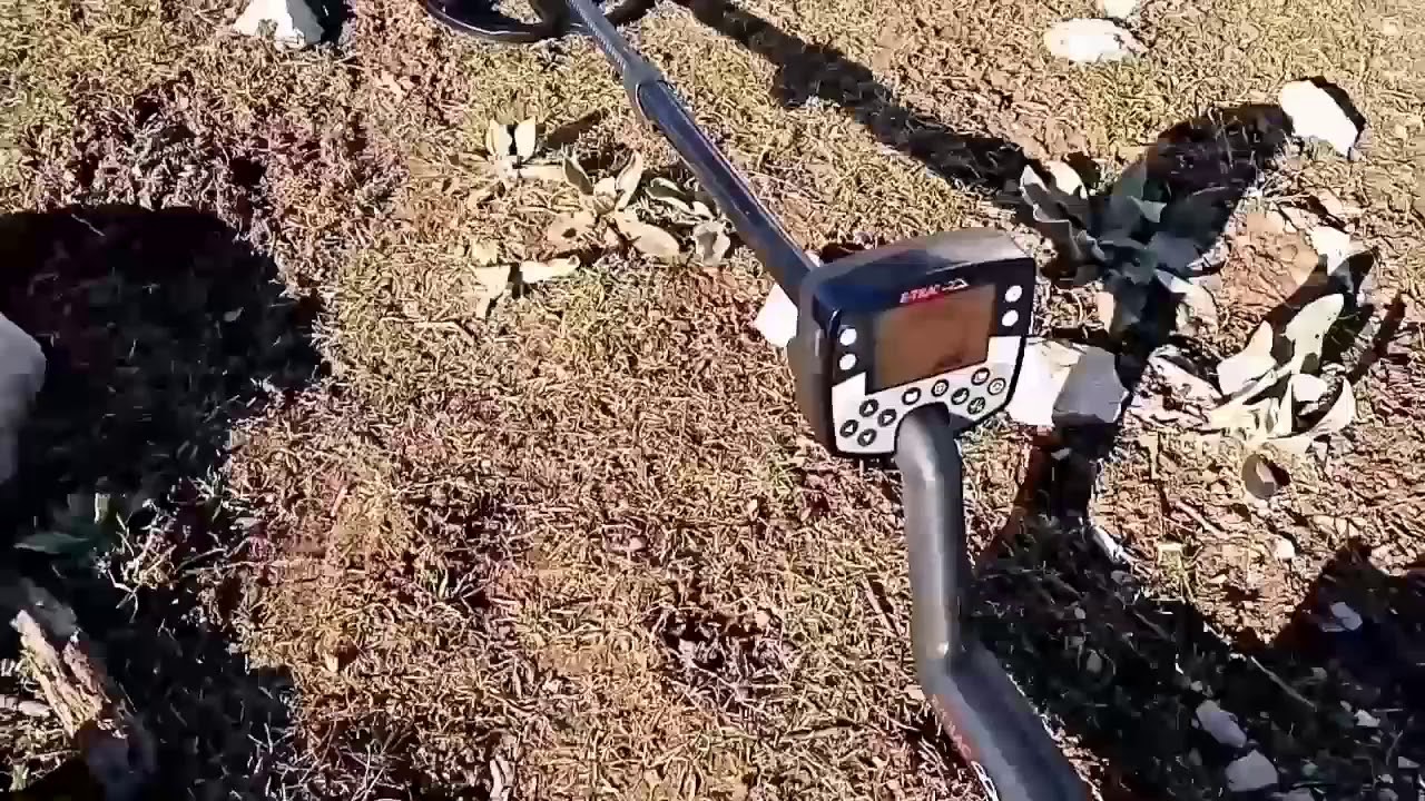 Minelab E-Trac 55 cm Taş Altından Altın Para Testi