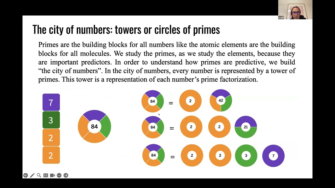 SIMONE BRASILI: Visualizing the wonders of numbers in Mathematics Education
