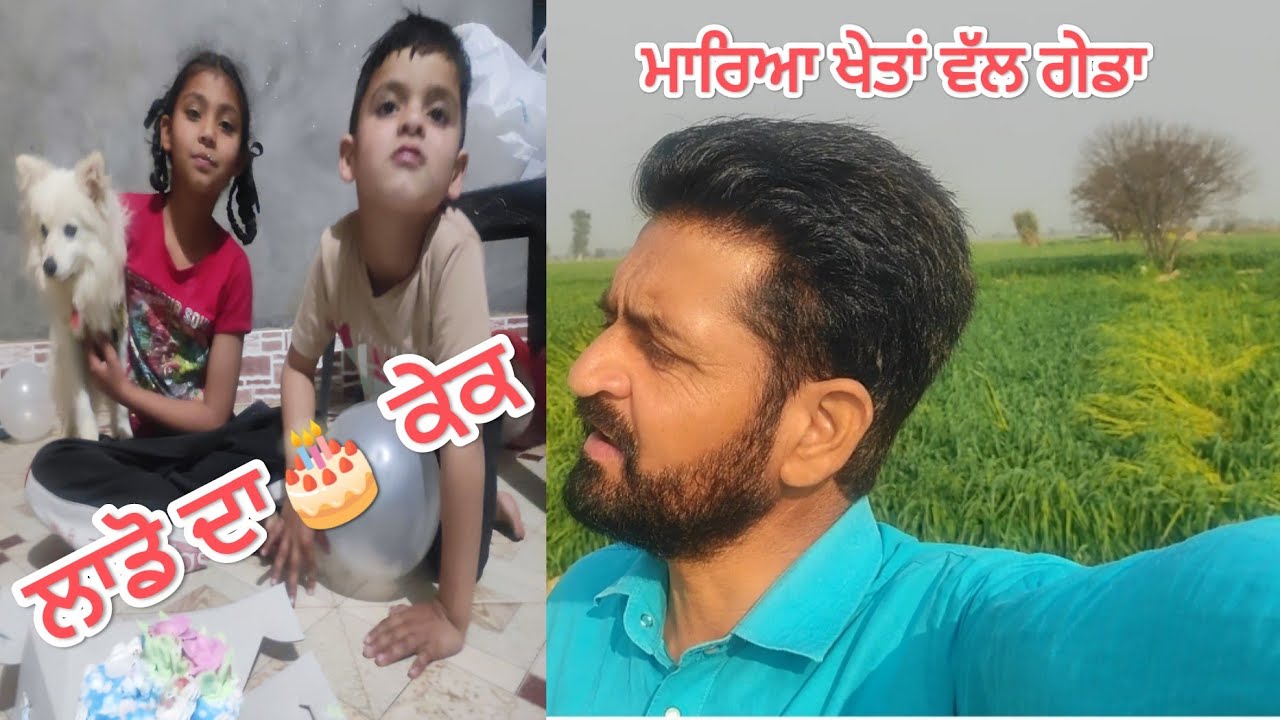 ਲਾਡੋ(Dog) ਦਾ ਕੱਟਿਆ 🎂ਕੇਕ ਸਹਿਜ ਅਤੇ ਤਾਜ ਨੇ#daily vlogs#trending#pindawale  #subscribe #happybrarsurtia 