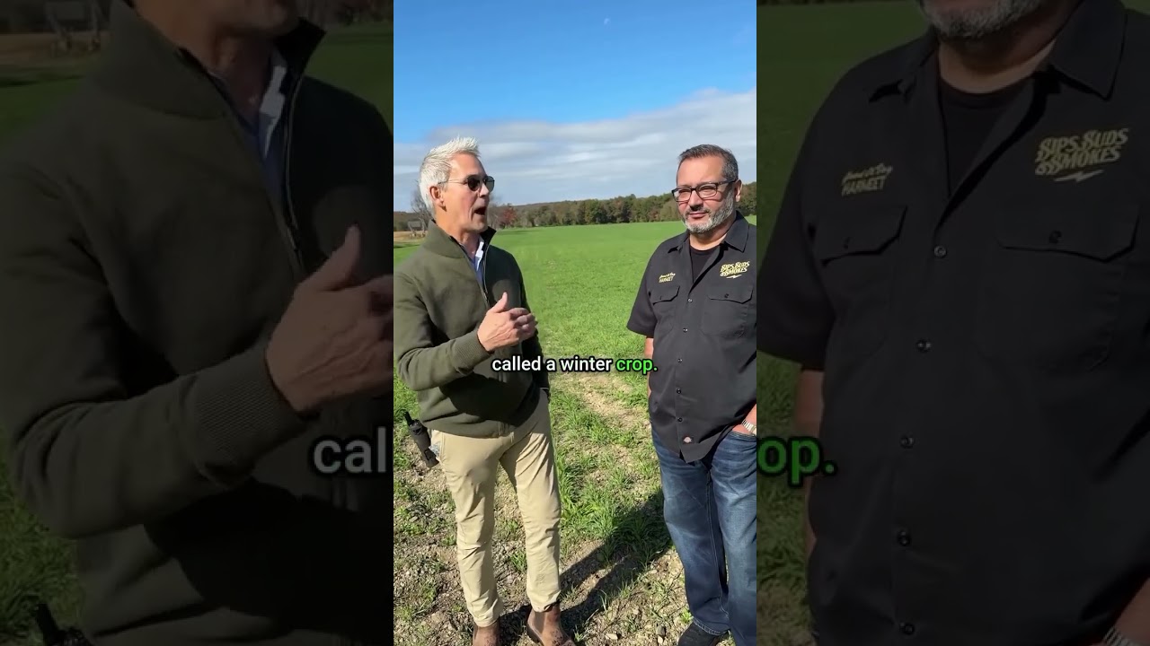 Liquor Expert Goes To Rye Field 🌾 (Distillery Tour Part 3 🥃)