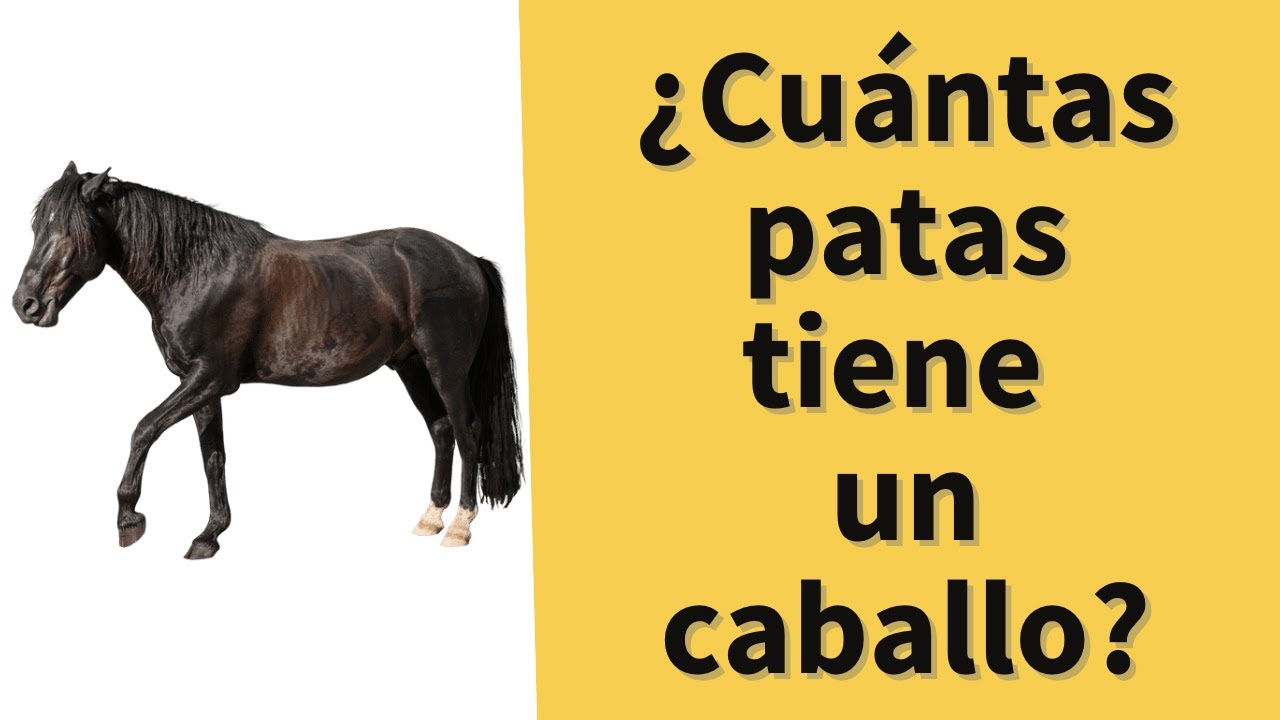 Describing Things in Spanish