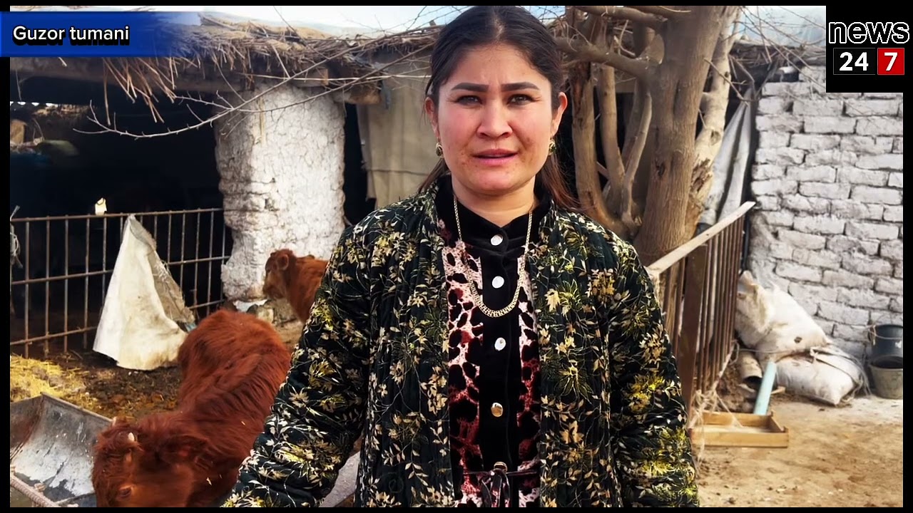 Гузор тумани