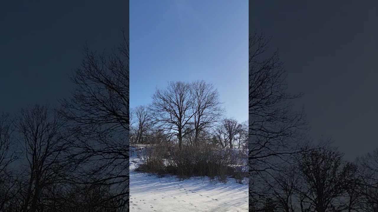 Внутреннее озерко на Великом (01.03.2026)
