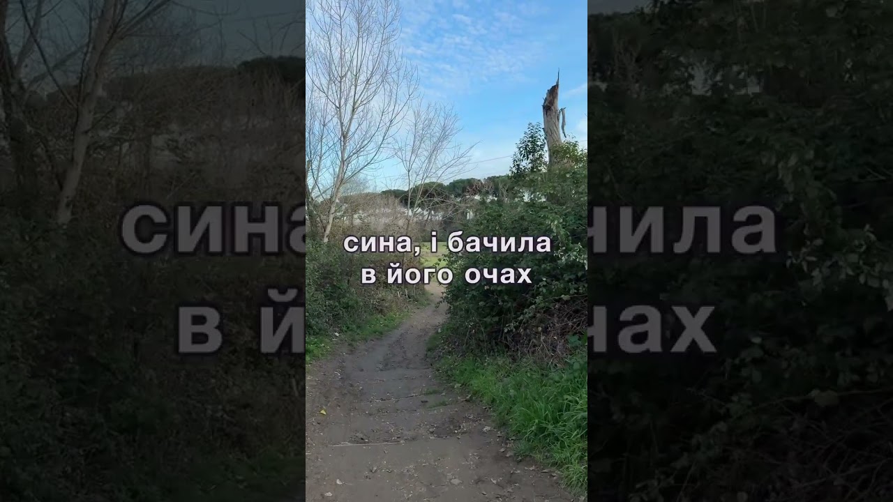 Нема вдома місця мамі-заробітчанці
